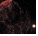 동상 일반 : 해파리성운(IC 443)