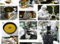 Opto-Mechanical Analyses of Large Telescope  Image