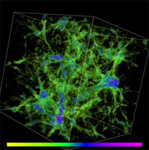 Magnetic fields predicted in (130 Mpc)3 space. Color bars represent the magnetic intensities (Yellow: B = 10-10 G, Violet: B = 10-5 G).