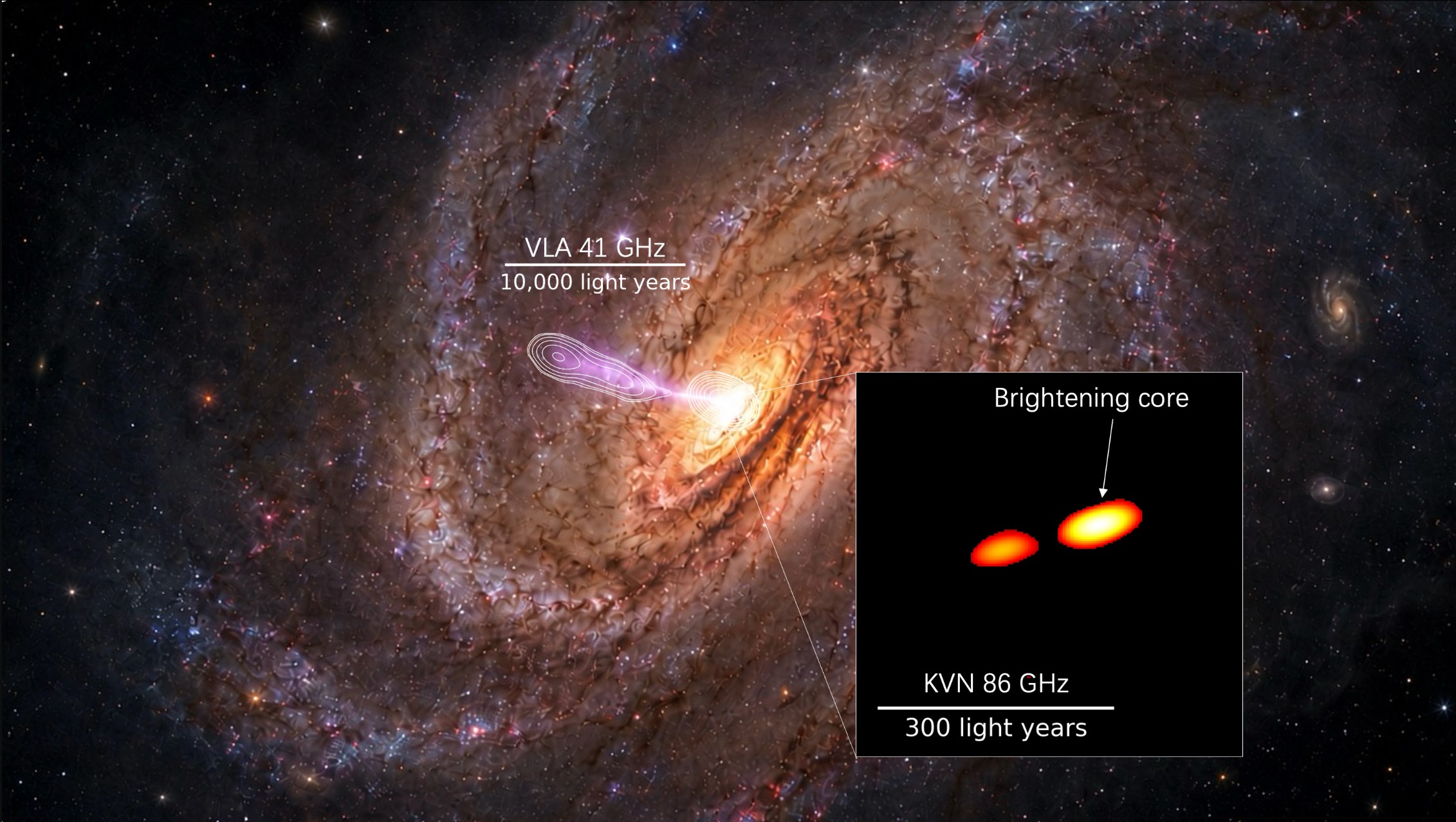 Brightening Detected in a Newborn Active Galactic Nucleus