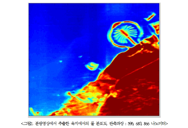 그림2. 분광영상에서 추출한 해저 분포도, 관측 파장 : 595, 683, 866 나노미터