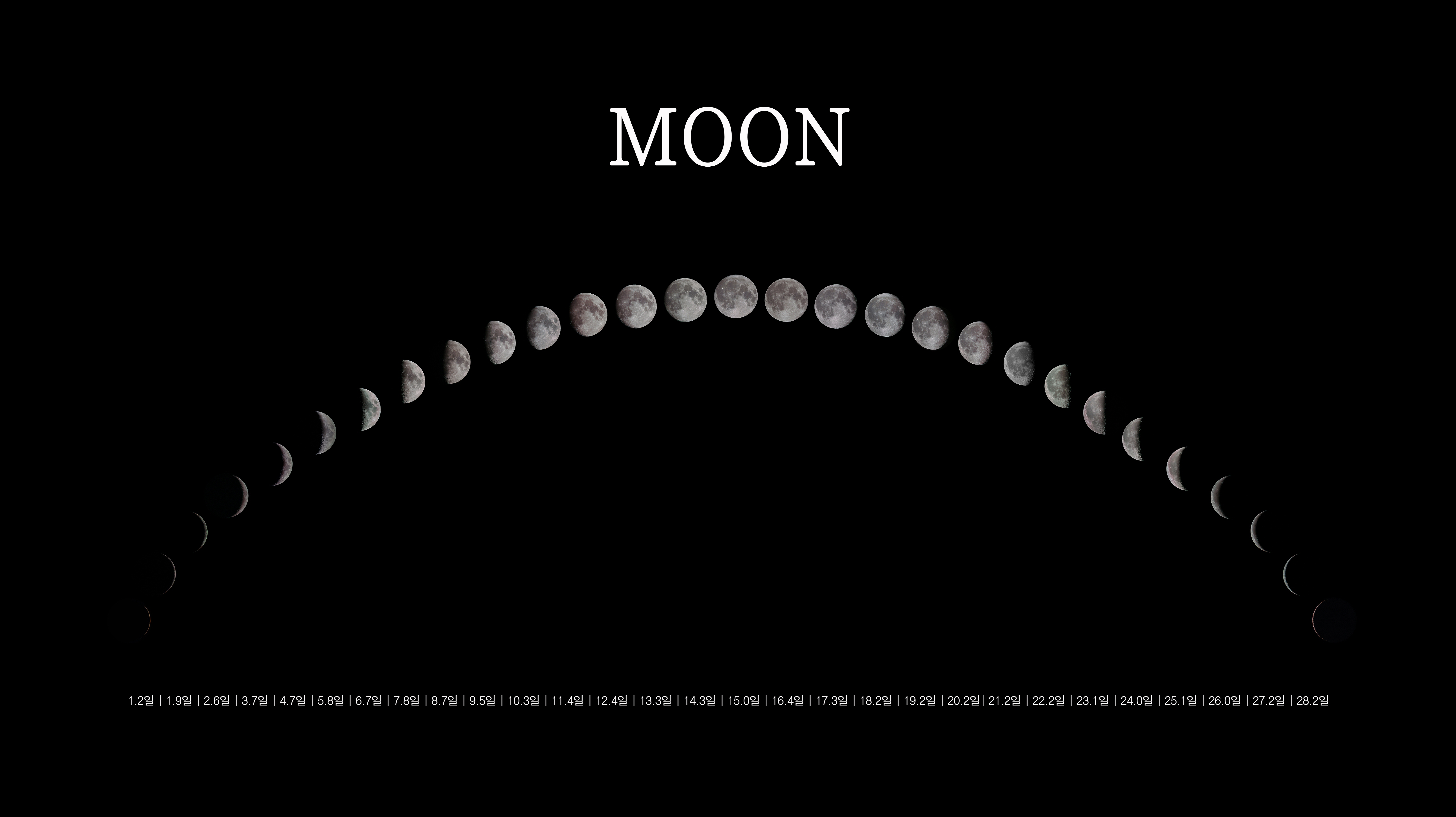 MOON : 29일 간의 기록